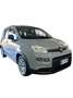 Fiat Panda 1.0 firefly hybrid City Life s&s 70cv - thumbnail 1