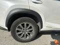 Lexus NX 300h 2.5 Business Navigation 2WD Blanco - thumbnail 16