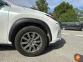 Lexus NX 300h 2.5 Business Navigation 2WD Blanco - thumbnail 15