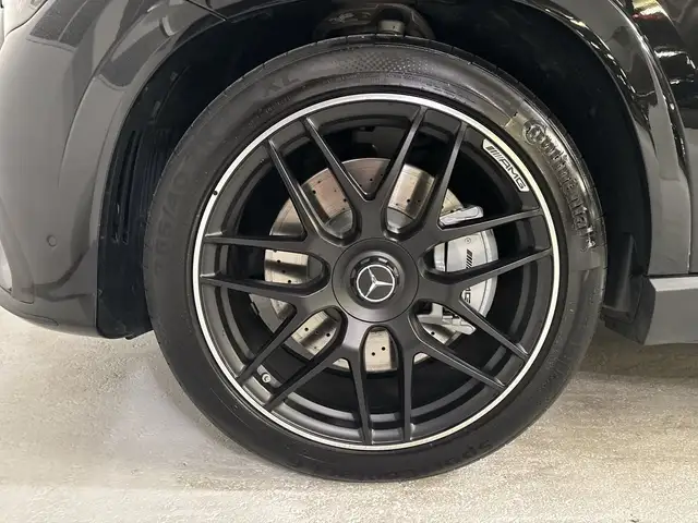 Mercedes-Benz GLE 53 AMG 4MATIC+ Perf-AGA Stdhz PTS Distr Navi Ansicht 14