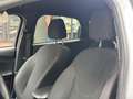 Ford Focus 2.0 Ecoboost Auto-S&S ST+ Blanco - thumbnail 12