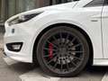 Ford Focus 2.0 Ecoboost Auto-S&S ST+ Blanco - thumbnail 23
