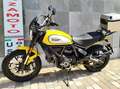 Ducati Scrambler 800 Or - thumbnail 6