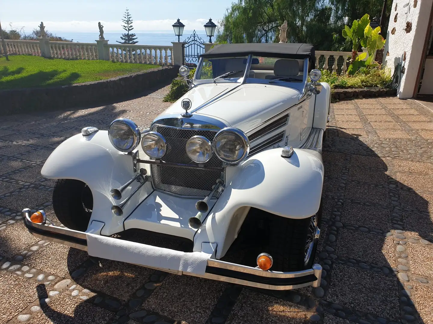 Другие GFG-Elisar Roadster Белый - 1