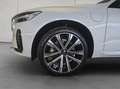 Volvo XC60 XC60 T6 AWD Recharge Geartronic RDesign Weiß - thumbnail 20