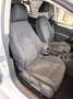 Volkswagen Golf 1.6 TDI DPF 5p. Comfortline Grau - thumbnail 13