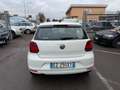 Volkswagen Polo 1.2 tsi / AUTOMATICA / NEOPATENTATI Bianco - thumbnail 5