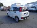 Fiat Panda 1.3 70 CV  S&S Easy Van PRONTA CONSEGNA Blanc - thumbnail 5