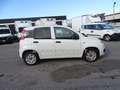 Fiat Panda 1.3 70 CV  S&S Easy Van PRONTA CONSEGNA Blanc - thumbnail 10