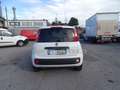 Fiat Panda 1.3 70 CV  S&S Easy Van PRONTA CONSEGNA Blanc - thumbnail 6