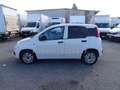Fiat Panda 1.3 70 CV  S&S Easy Van PRONTA CONSEGNA Blanc - thumbnail 4