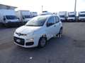 Fiat Panda 1.3 70 CV  S&S Easy Van PRONTA CONSEGNA Blanc - thumbnail 3
