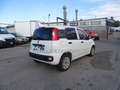 Fiat Panda 1.3 70 CV  S&S Easy Van PRONTA CONSEGNA Blanc - thumbnail 9