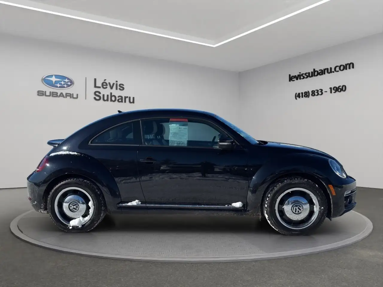 Volkswagen Beetle fotografie Volkswagen Beetle
