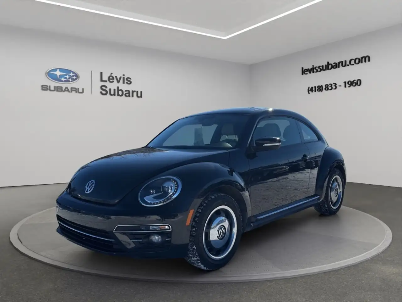 Volkswagen Beetle fotografie Volkswagen Beetle