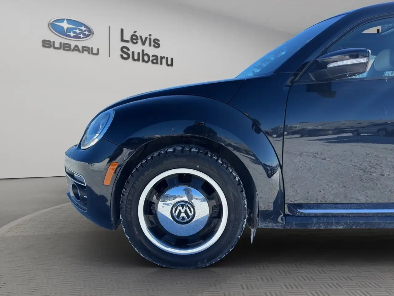 Volkswagen Beetle fotografie Volkswagen Beetle