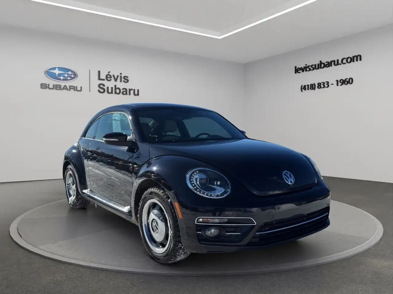 Volkswagen Beetle fotografie Volkswagen Beetle
