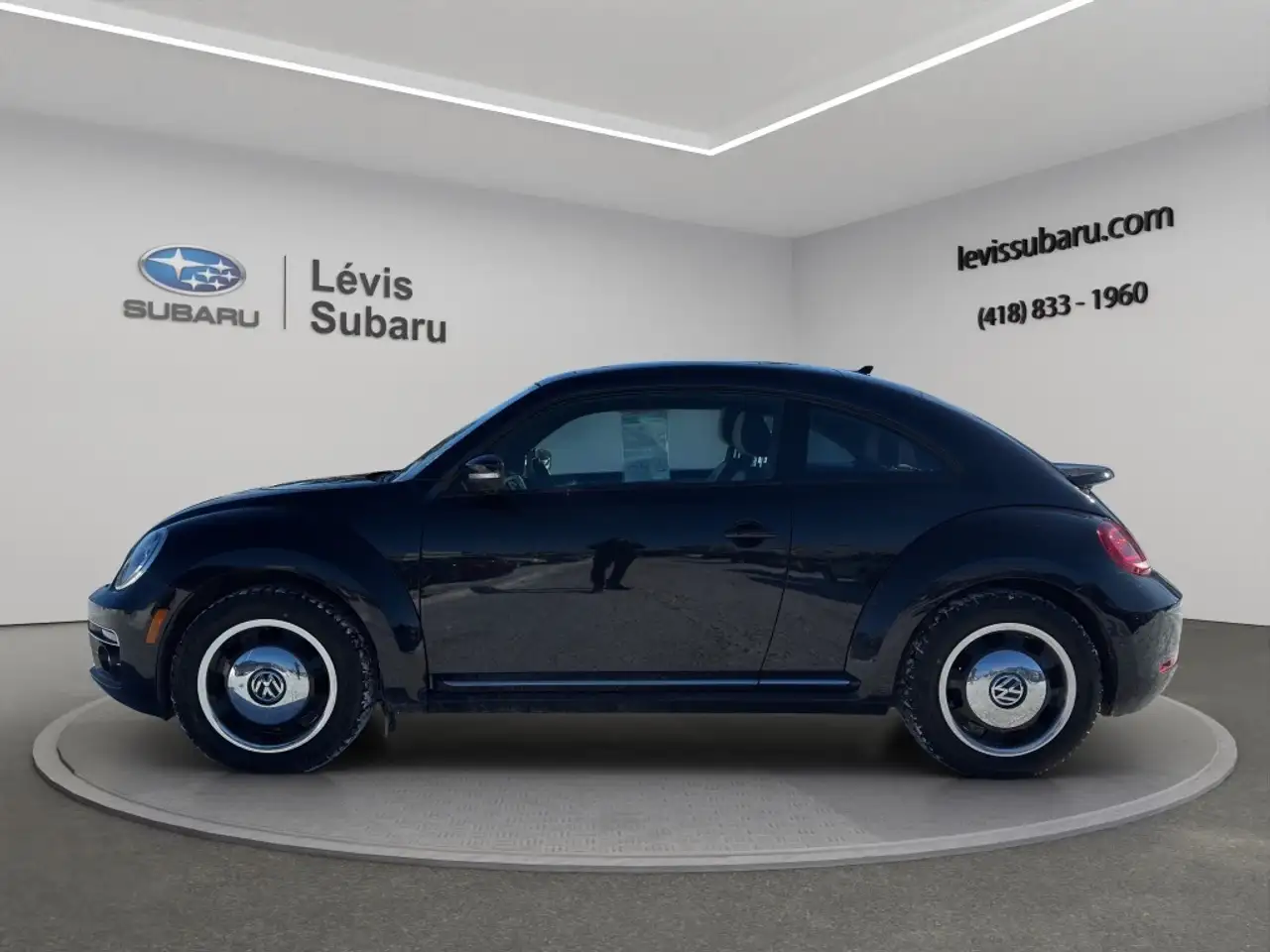Volkswagen Beetle fotografie Volkswagen Beetle