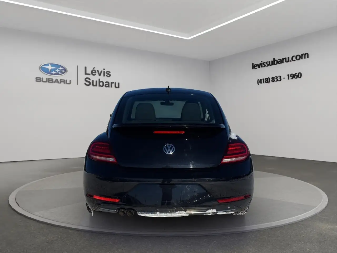 Volkswagen Beetle fotografie Volkswagen Beetle