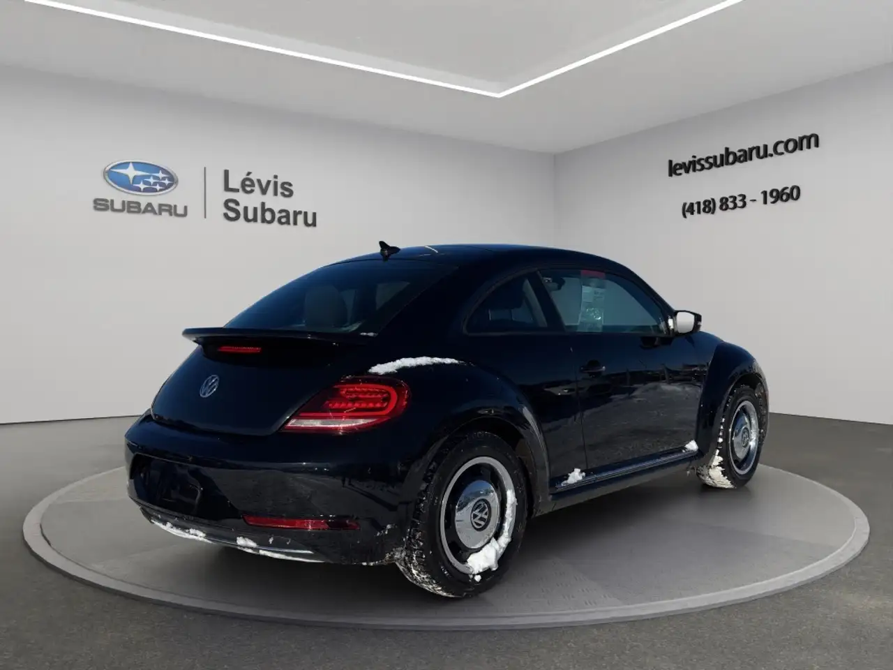 Volkswagen Beetle fotografie Volkswagen Beetle