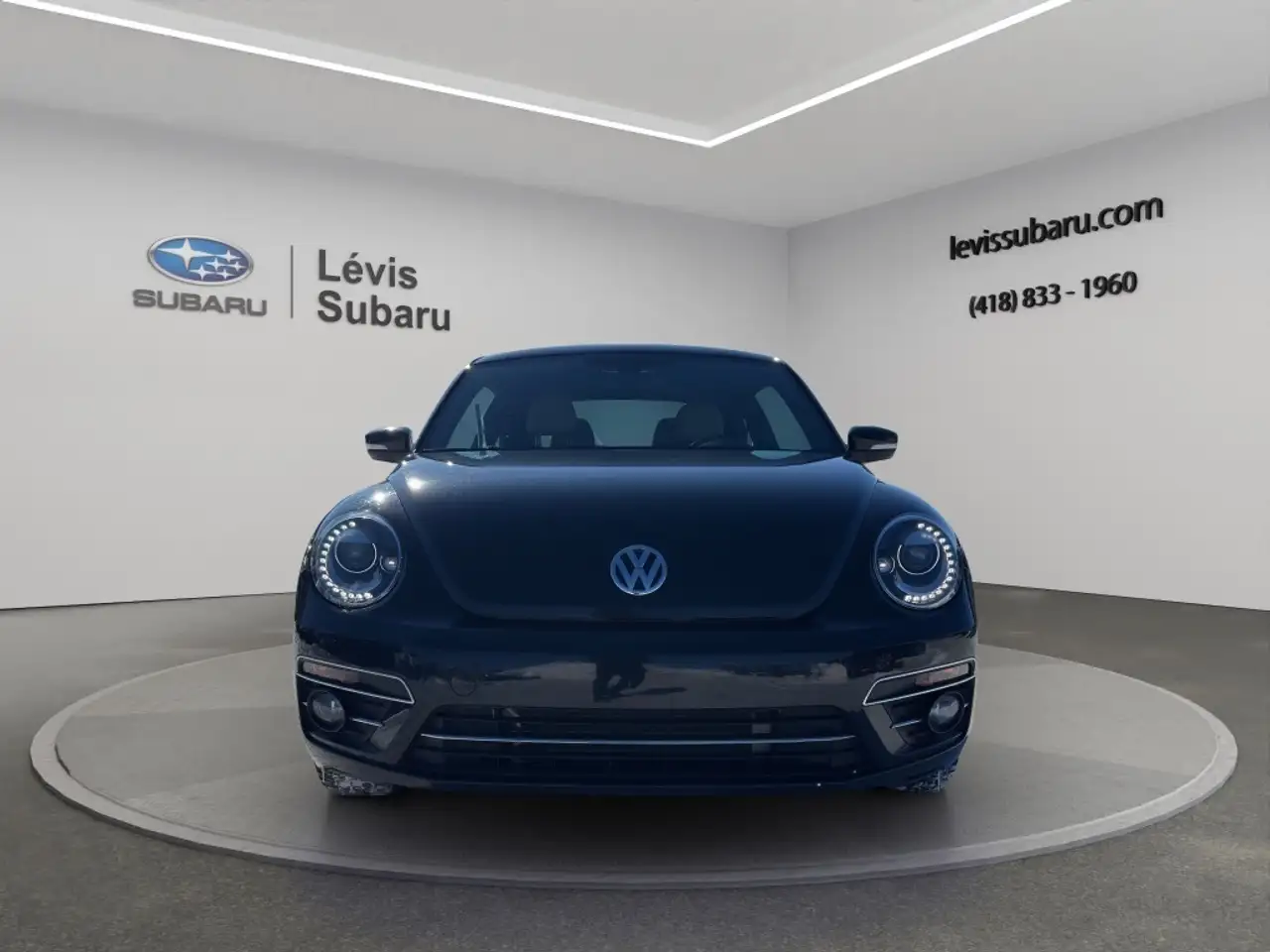Volkswagen Beetle fotografie Volkswagen Beetle