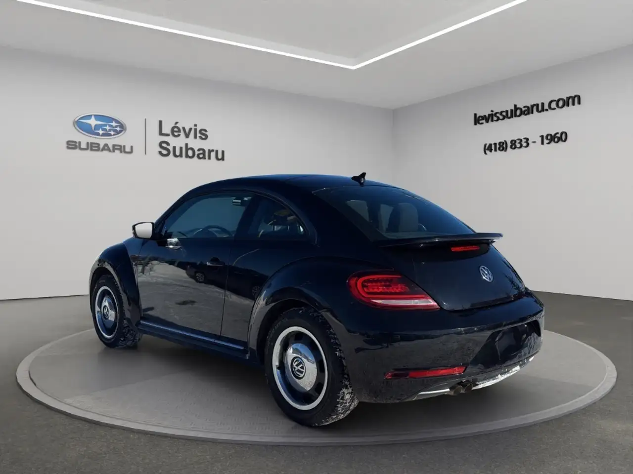 Volkswagen Beetle fotografie Volkswagen Beetle