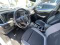 Opel Grandland Grandland 1.5 diesel Ecotec aut. Business Elegance Bianco - thumbnail 8