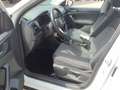 Volkswagen T-Cross 1.0TSI DSG Life LED Navi ACC Sitzh APP Weiß - thumbnail 5