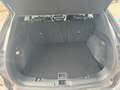 Ford Kuga Plug-In Hybrid Titanium X 225PS LED AHK B&O Gris - thumbnail 8