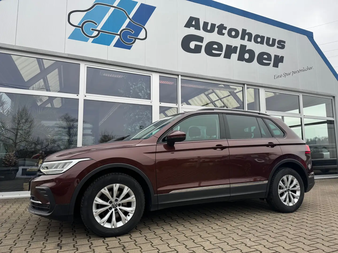 Volkswagen Tiguan 1.5 TSI OPF DSG Life AHK NAVI Braun - 1
