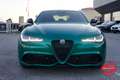 Alfa Romeo Giulia 2.0 280cv t Intensa Q4 / HARMAN KARDON Grün - thumbnail 2