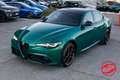 Alfa Romeo Giulia 2.0 280cv t Intensa Q4 / HARMAN KARDON Grün - thumbnail 6