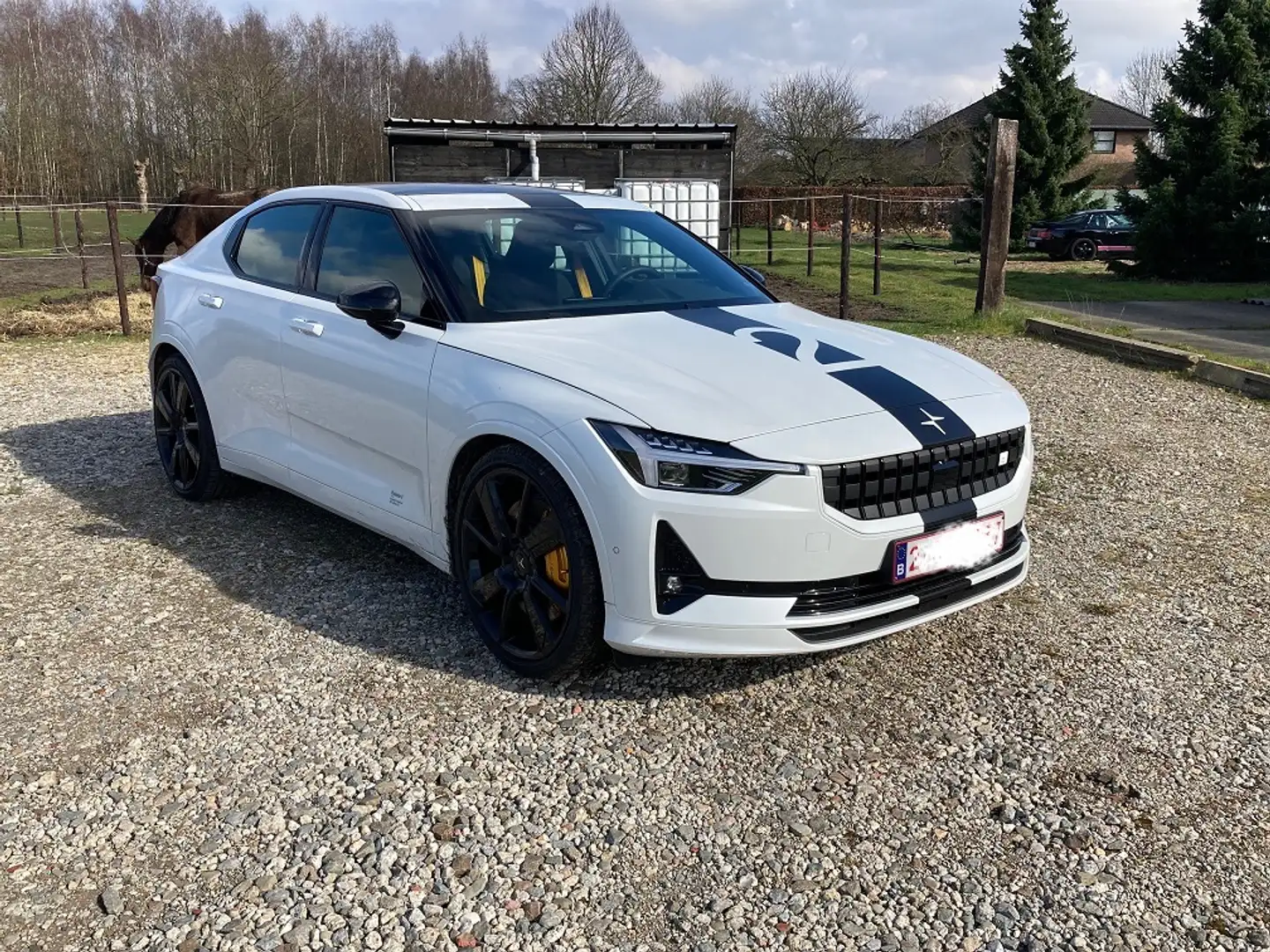 Polestar 2 Polestar 2 Dual Motor 78kWh BST Edition 270 Blanc - 2