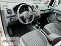 Volkswagen Caddy Maxi 1.2 TSI Maxi Team 7-Sitze,AHK,Klim Weiß - thumbnail 6
