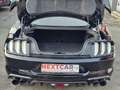 Ford Mustang 5.0 Ti-VCT V8 GT|Schalter|B&O|Navi|Kamer Noir - thumbnail 11