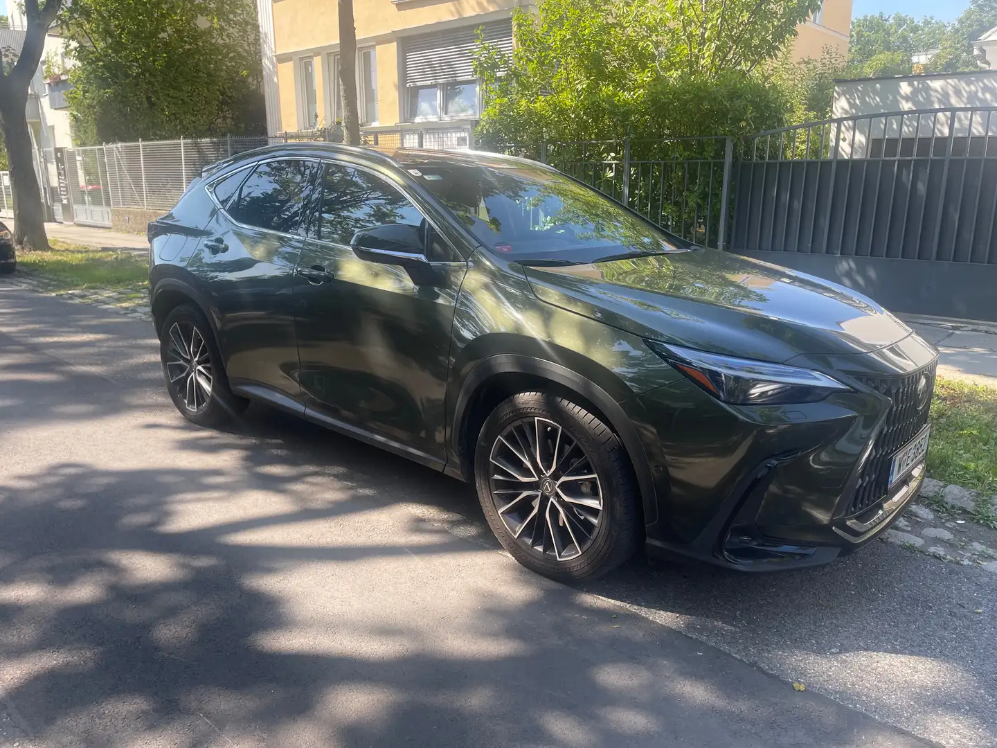Lexus NX 450h+ NX 450h+ E-Four Luxury Aut. Luxury Verde - 1