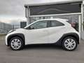 Toyota Aygo X,ACC,SithzH,Kamera,Apple,Spurhalte,VZE Blanc - thumbnail 4