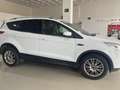 Ford Kuga 2.0TDCi Titanium 4x4 140 - thumbnail 3
