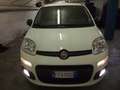 Fiat Panda 1.2 GPL CONNECT VAN BEN TENUTA Bianco - thumbnail 6