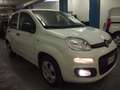 Fiat Panda 1.2 GPL CONNECT VAN BEN TENUTA Bianco - thumbnail 5