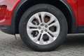 Land Rover Discovery Sport 2.0 Basis AWD LED Navi Kamera Rot - thumbnail 30