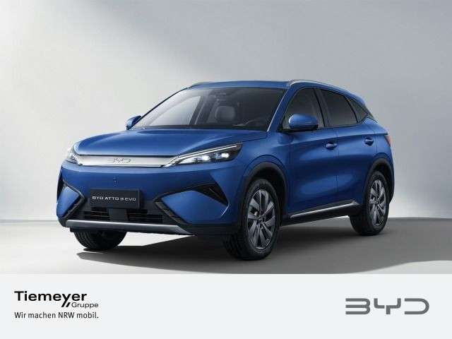 BYD Sonstige