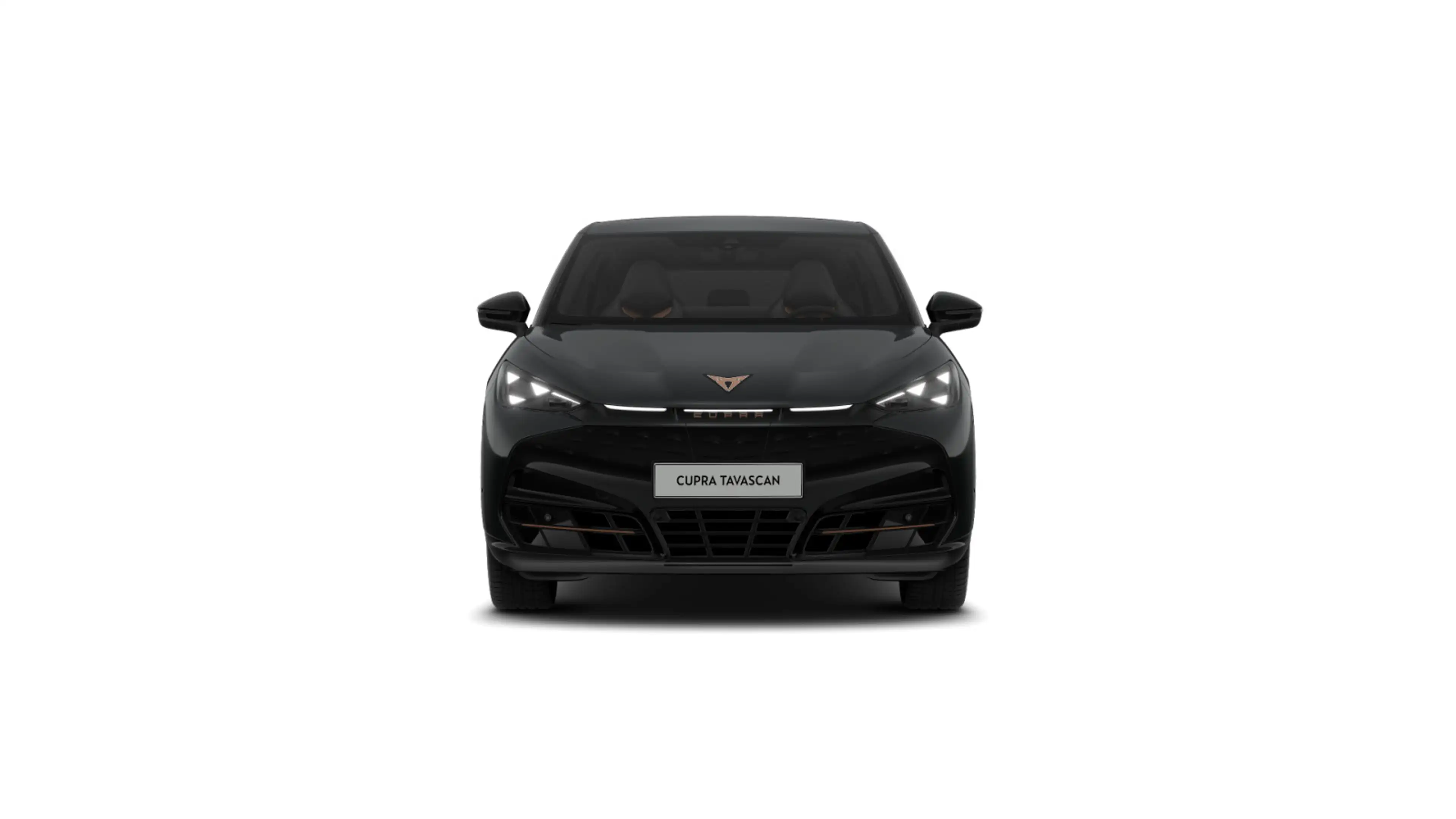 CUPRA Tavascan NAVI ACC SITZH PARKLENK — photo 3