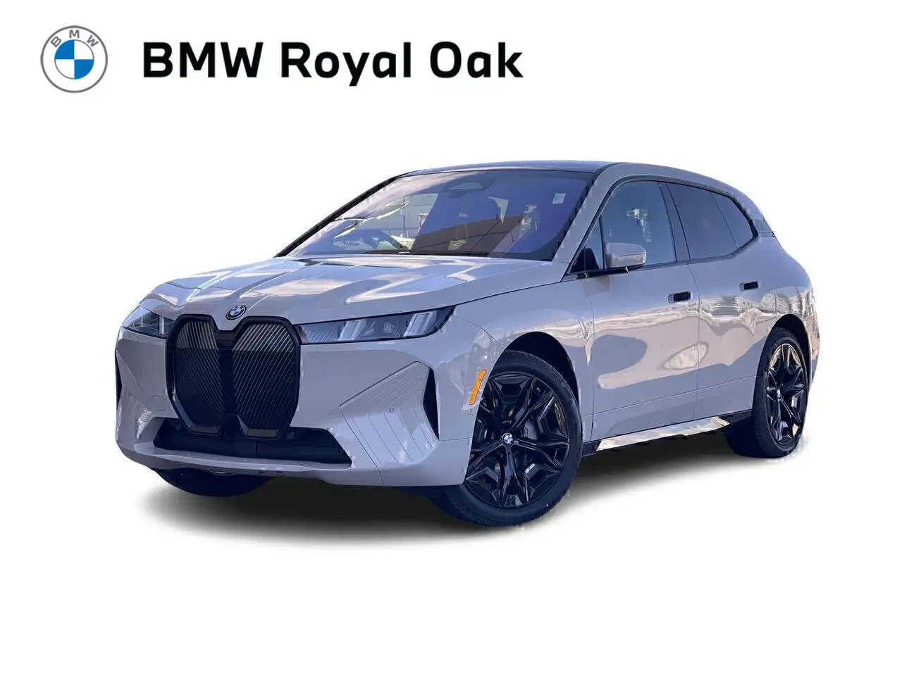 2026 BMW iX