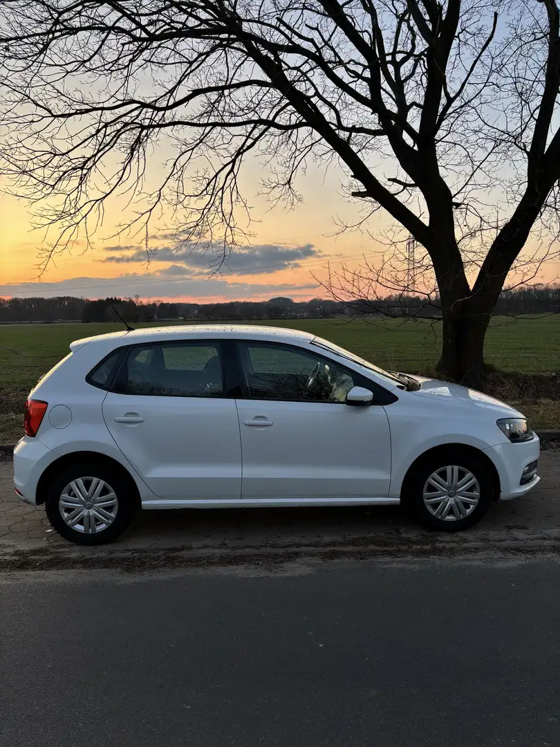 Volkswagen Polo Trendline Weiß - 1