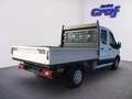 Ford Transit Pritsche DoKa 2,0 EcoBlue L2H1 350 Trend Weiß - thumbnail 4