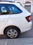 Skoda Fabia Wagon 1.4 tdi Ambition 75cv - thumbnail 9