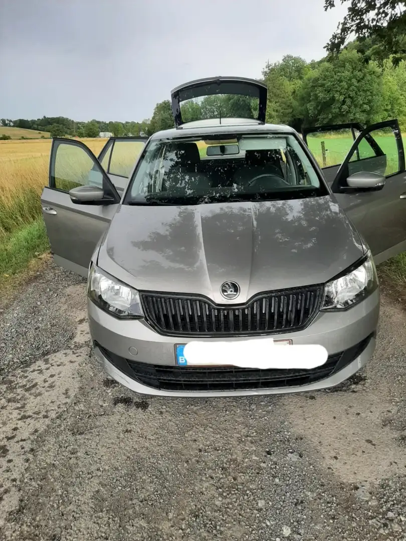 Skoda Fabia Fabia SW 1.0 TSI Active Gris - 1