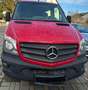 Mercedes-Benz Sprinter 316 CDI Rot - thumbnail 1