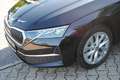 Skoda Octavia 1.5 TSI MHEV DSG.Sitzklima.Leder.Matrix. Schwarz - thumbnail 5